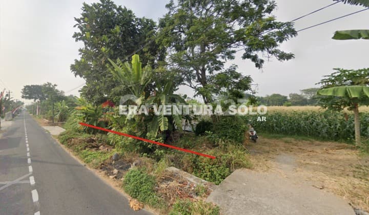 Tanah Zona Kuning Sawit Boyolali