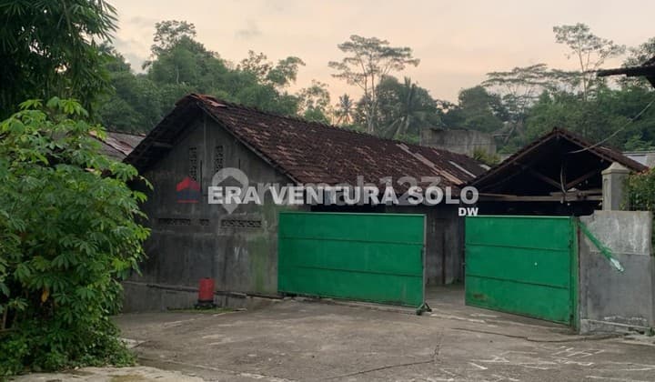 Ruang Usaha Strategis Cocok untuk Kandang Sapi