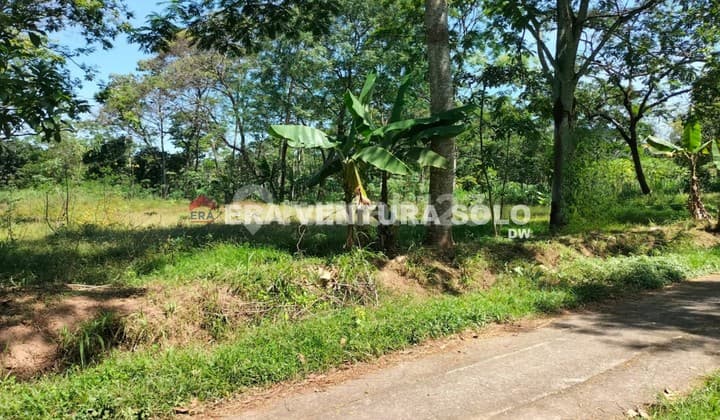 Tanah Strategis Mojosongo Boyolali