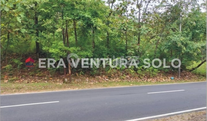 Tanah di Wuryantoro, Wonogiri, Wonogiri SHM 5,4 ha Tanah di Wuryantoro, Wonogiri, Wonogiri SHM 5,4 ha