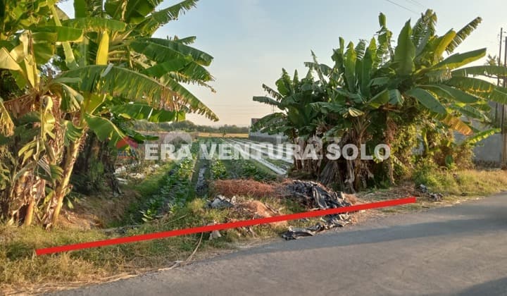 Tanah Kawasan Perumahan Strategis Baki