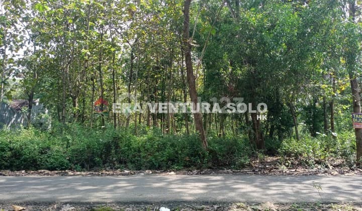 Tanah Pekarangan Strategis Giriwono Wonogiri