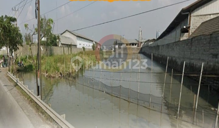 Dijual Tanah 5569 m2 SHM Sayung, Demak