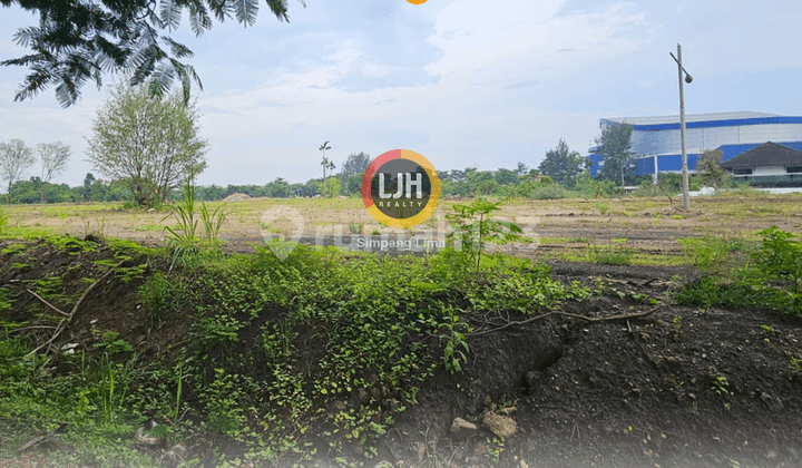 Tanah Sewa 1,5 Ha di Marina - Tawangsari, Semarang