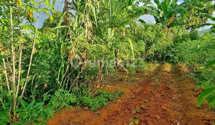 Tanah 2 Petak Area Perintis Kemerdekaan Makassar