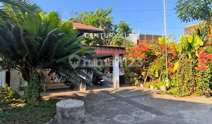 Rumah Tua Luas Tanah 600 Meter Area Cendrawasih Makassar