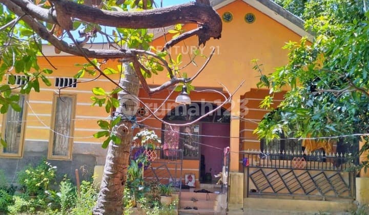 Jual Rumah 1 Lantai Pangkep Kota Di Pangkep