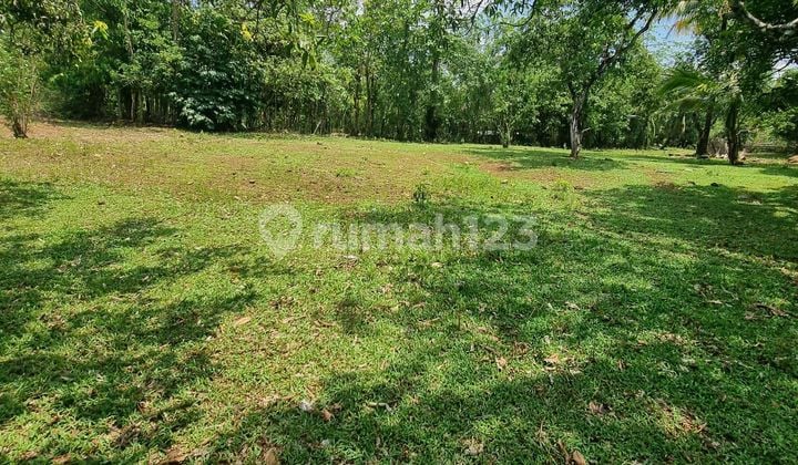 Tanah Siap Bangun Di Desa Benteng Gajah Tanralili Maros