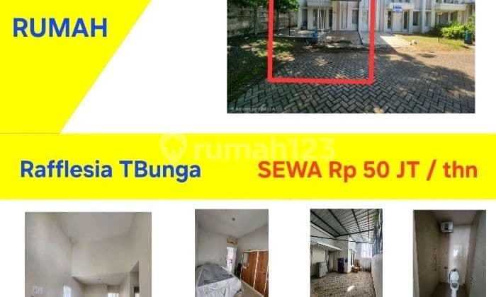 Rumah Sewa Rafflesia Lengkap Prabot Tanjung Bunga Makassar