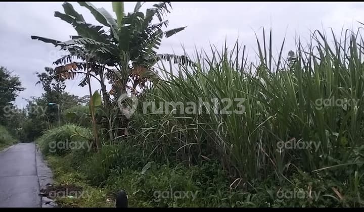 Tanah Strategis 30.000 M2 Daerah Singosari Malang Gmk03896