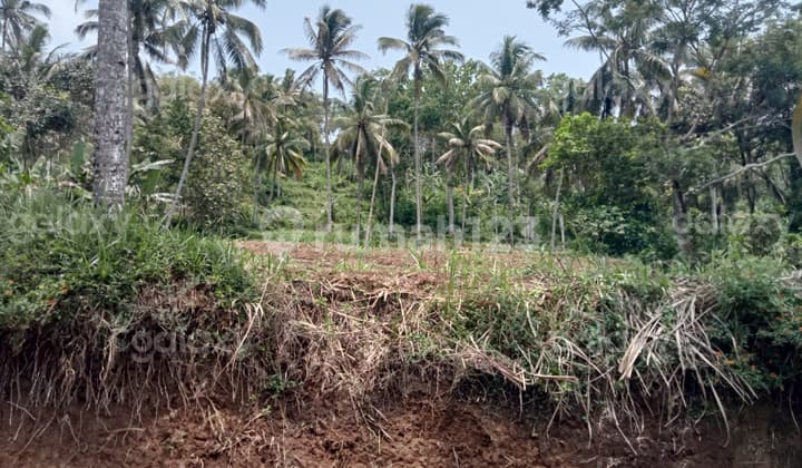 Tanah Strategis 3435 m2 Desa Amadanom Dampit Malang GMK03714