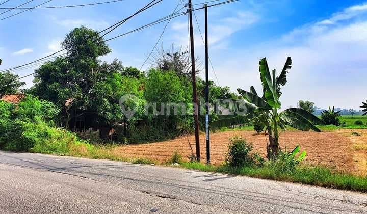 Tanah Murah Strategis Pinggir Jalan Raya