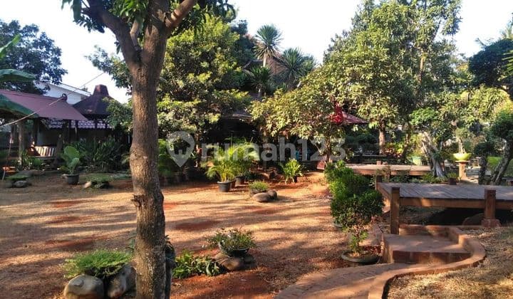 Dijual Tanah Kebun + Bangunan Villa Kecil Dengan Kayu Hitam