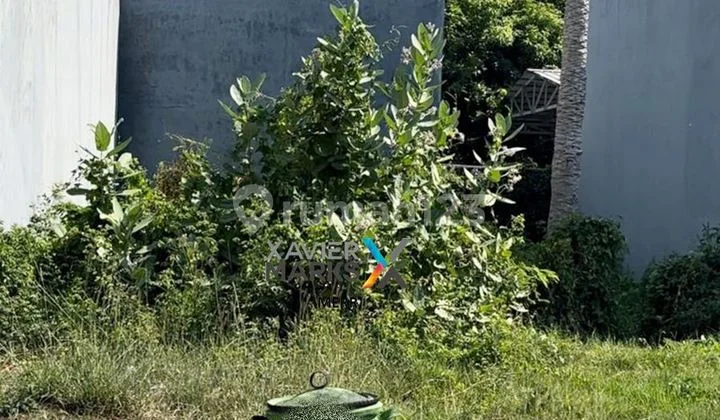 For Sale: Kenjeran Mentari Beach Plot of Land For Sale: Kenjeran Mentari Beach Plot of Land