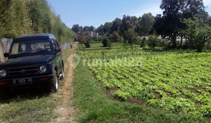 Tanah di Jl. Kolonel Masturi 4484 m² SHM bagus untuk SPBU