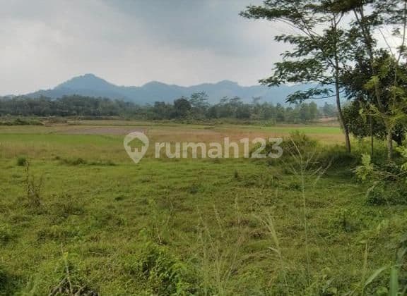Tanah Di Tegal Sapi, Cipinang Rumpin Kab.bogor 20997 M² Shm
