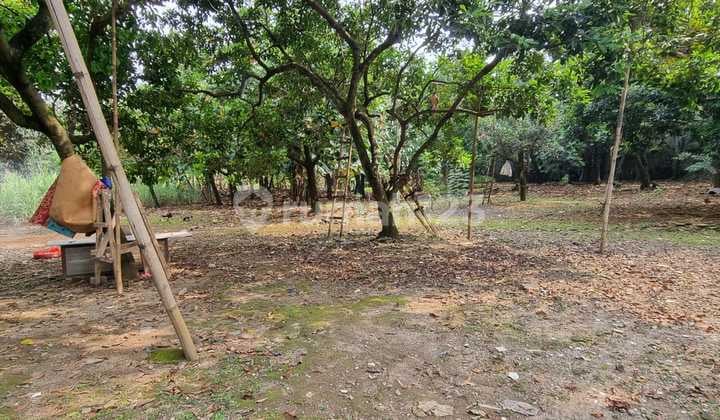 HOT DEALS...KAVLING 6.365 m2 SHM Daerah Cirendeu Pisangan Ciputat Timur
