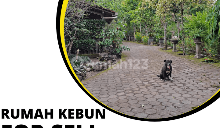 Tanah Kebun Sudah Ada Rumah di Lingkungan Asri Dan Bersejarah