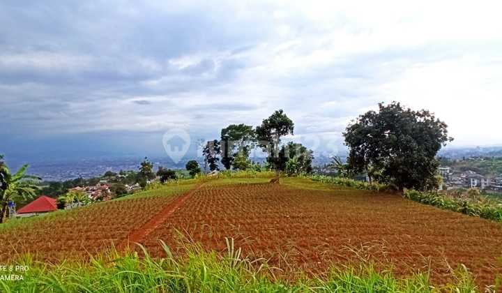 Dijual Tanah Mekarsaluyu Persis Belakang Resor Dago Pakar