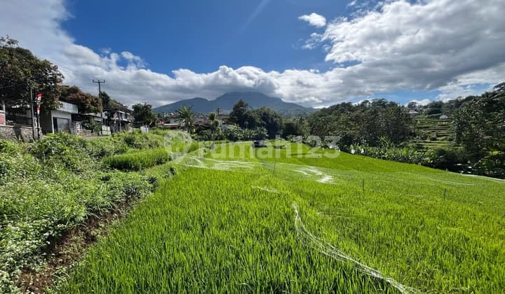 Tanah Sangat Cocok untuk Perumahan di Ujung Berung Kota Bandung