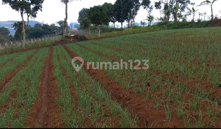 Land For Sale In North Bandung Behind Dago Pakar Resort With Views Of Bandung City And Hills