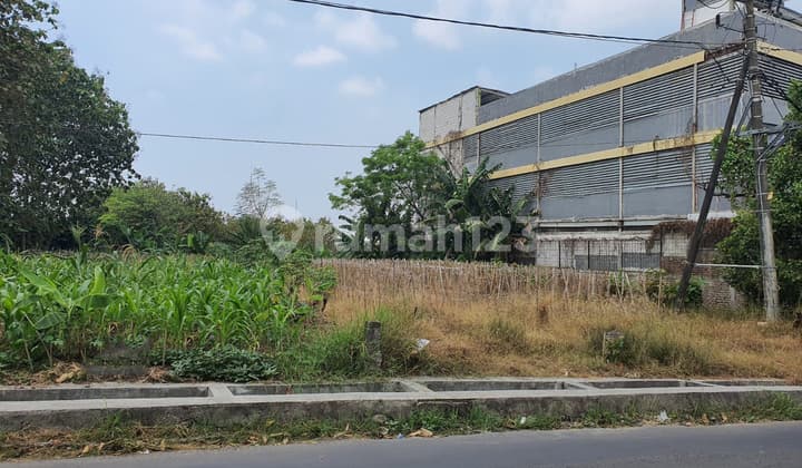 Tanah Desa Made Citraland Surabaya Barat