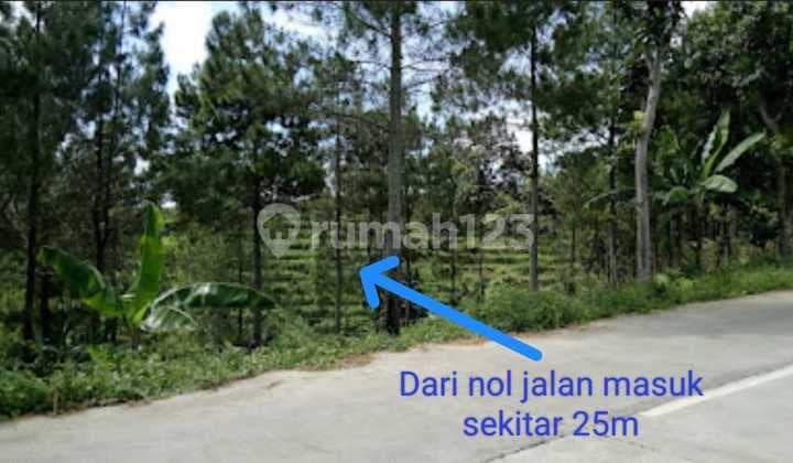 Kavling Komersial View Cantik Di Desa Cembor Mojokerto