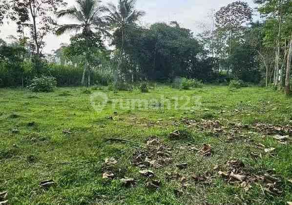 Commercial Land Area on Gunung Jati Street - Singosari