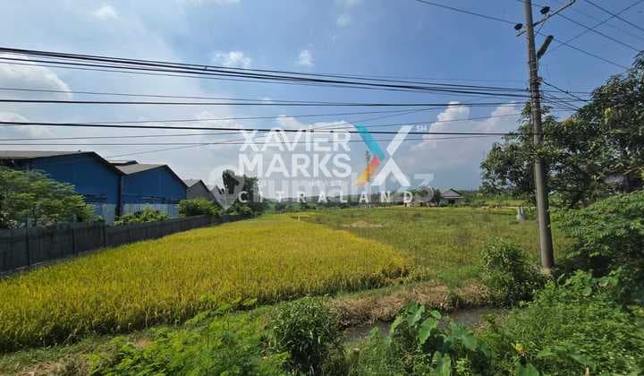 Dijual Tanah Industri, Jl Raya Trawas, Mojosari Super Strategis