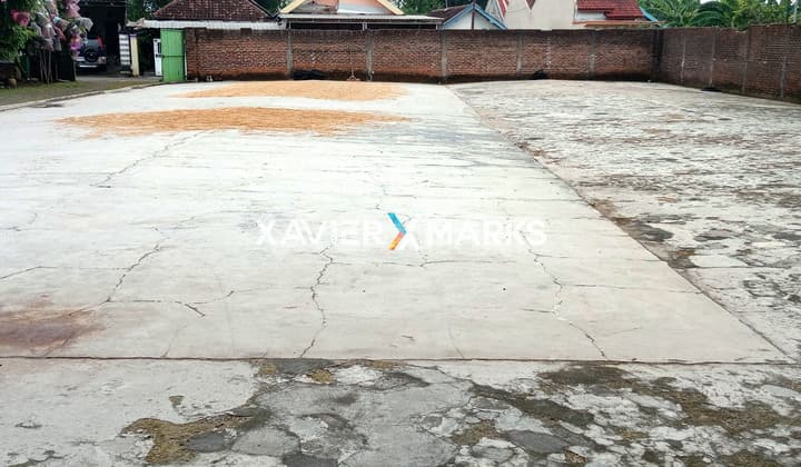 DIJUAL SEBIDANG TANAH NGORO MOJOKERTO