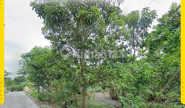 Di Jual Tanah di Jeruksawit, Gondangrejo