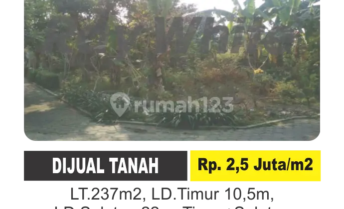 Di Jua Tanah di Bakipandeyan, Baki