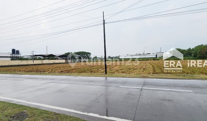 Tanah Dijual Solo Baru Zona Merah Area Patung Jamu