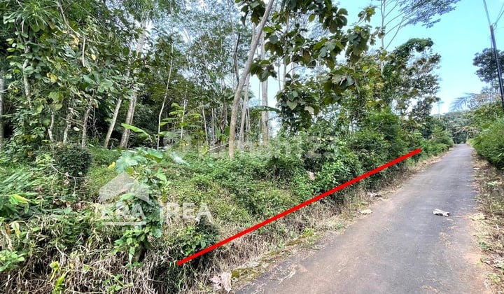 Dijual Tanah Solo Dekat Objek Wisata Telatar Boyolali