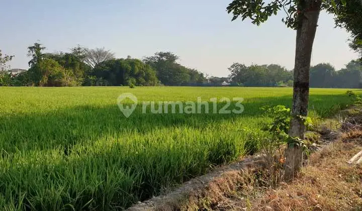 Tanah Kering Siap Bangun di Jalan Raya Solo Tawangmangu Karanganyar Solo