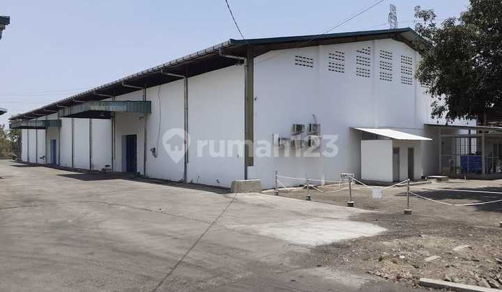 Gudang Disewakan Akses Kontainer Di Palur Karanganyar Solo