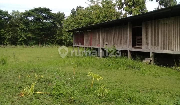 Tanah Siap Pakai Cocok Untuk Usaha Di Mondokan Sragen