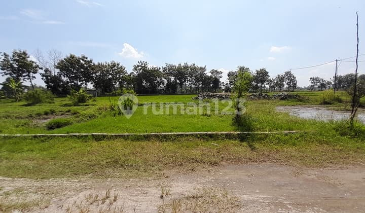 Tanah Kavling Murah Dijual di Buran Tasikmadu Karanganyar