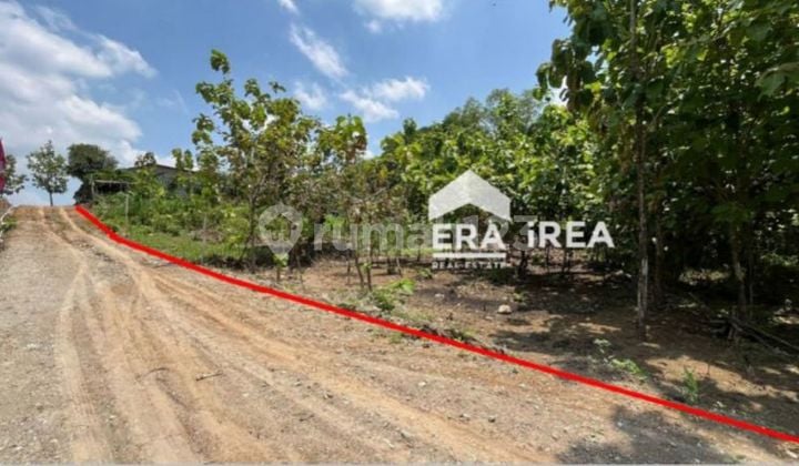 Cheap Land for Sale in Solo, Plesungan, Gondangrejo, Karanganyar