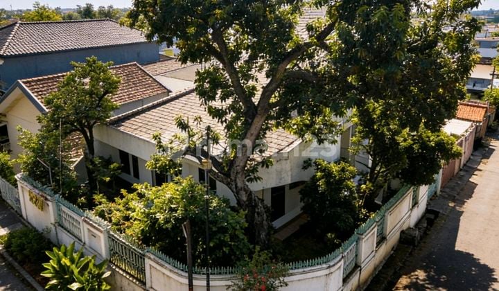 Dijual Cepat ... Bu Rumah di Jl Seroja Dalam Raya Semarang