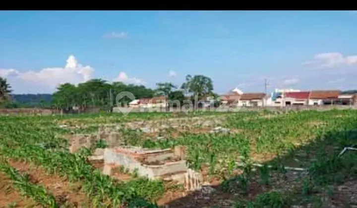 Jual Cepat .. BU.. tanah di gunung Pati Semarang jawa tengah lebar 60m, blakange BSB teras bali