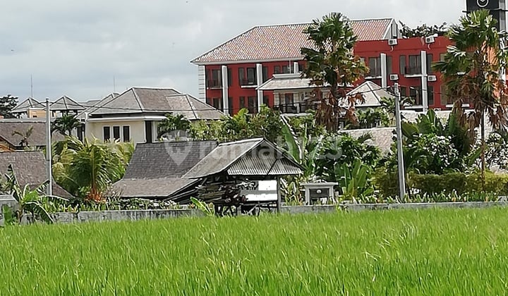 Tanah Disewakan, Luas 2375m2, Di Berawa, Canggu, Bali