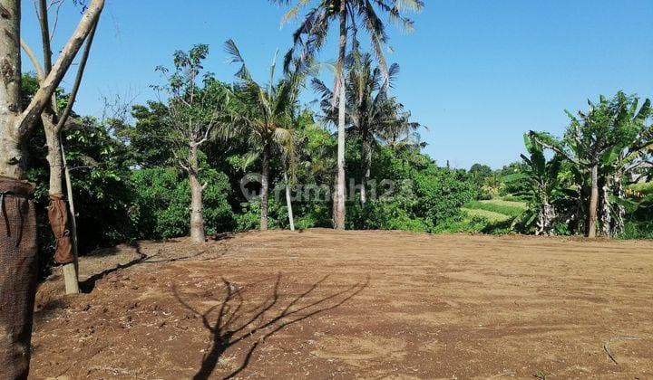 Tanah Sewa, 30.000m2, View Sawah Sungai Gunung di Ubud, Bali