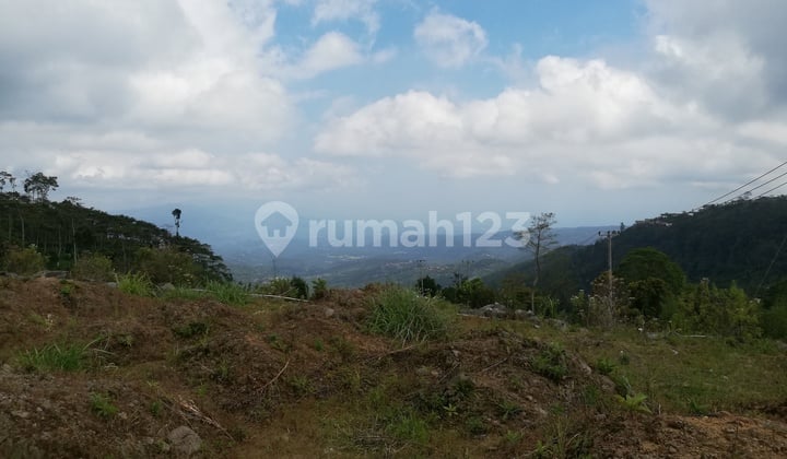 Tanah Luas 64.000m2, Shm,view Laut Gunung, Munduk, Buleleng, Bali
