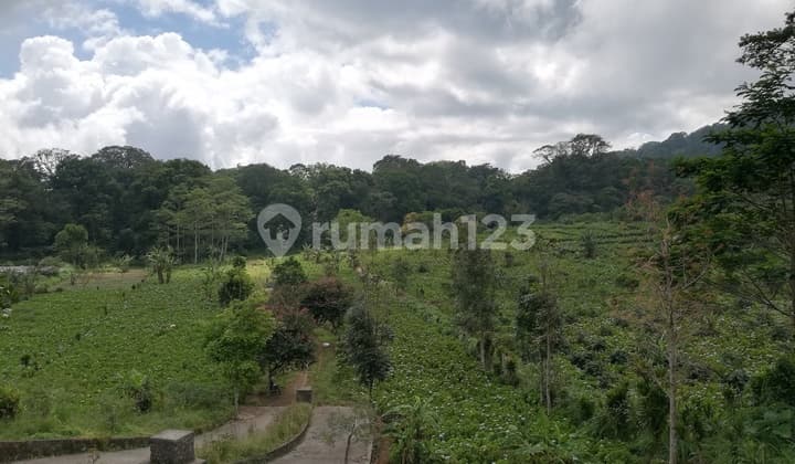 Tanah Dijual, Luas 20.000m2, Shm, di Munduk, Buleleng, Bali