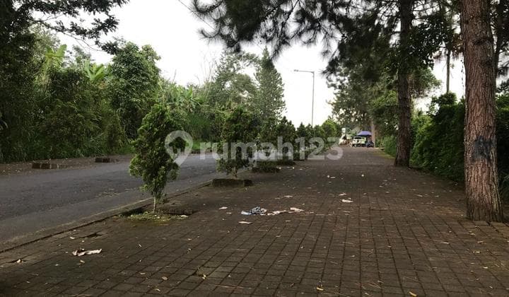 Tanah Jual, Luas 6,5 Hektar, Shm, Jalan Raya Petang, Badung, Bali