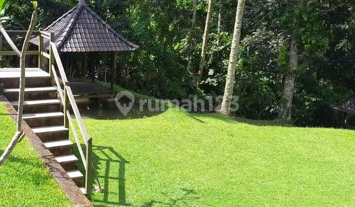 Villa Dijual, 3 Kamar Tidur, Lahan 11.100m2, Petang, Badung, Bali