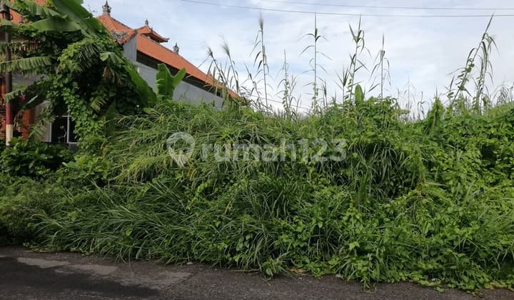 Tanah Sewa, Luas 1050m2, di Jalan Dewi Sri, Legian, Kuta, Bali