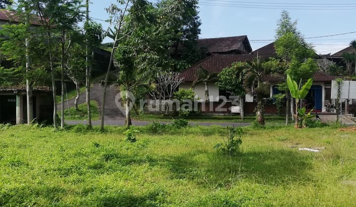 Tanah Dijual, Luas 1.430m2, Shm, Jalan Raya Petang, Badung, Bali