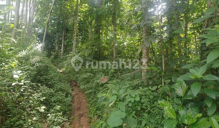 Tanah di Ungaran investasi masa depan